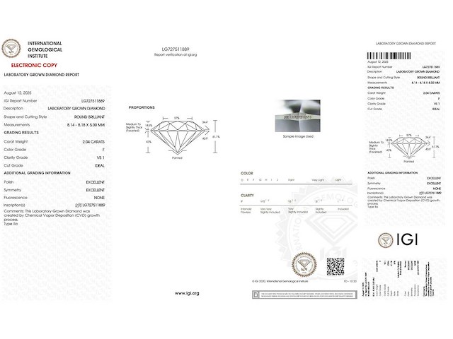 18 karaat geelgouden oorstekers met 4,06 crt. diamant - afbeelding 4 van  7