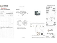 18 karaat witgouden oorstekers met 3,05 ct. diamant - afbeelding 3 van  6