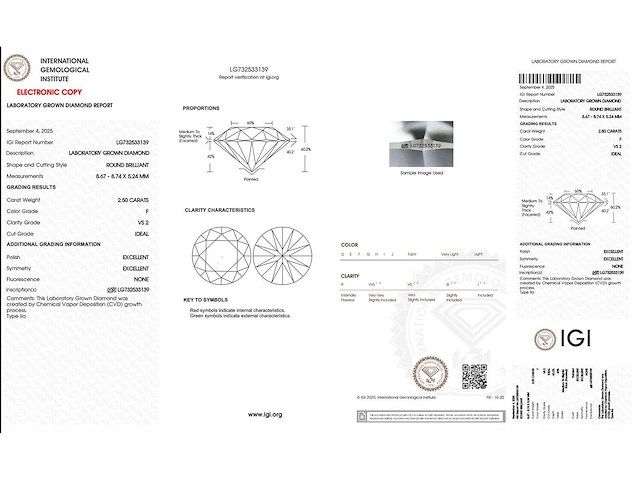 18 karaat witgouden oorstekers met 5,00 crt. diamant - afbeelding 4 van  10