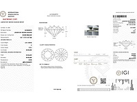 18 karaat witgouden oorstekers met 5,03 ct. diamant - afbeelding 2 van  9