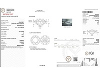 18 karaat witgouden oorstekers met 5,03 ct. diamant - afbeelding 3 van  9