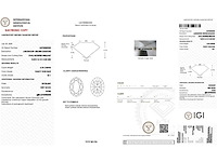 18 karaat witgouden ring met 4,02 crt. diamant - afbeelding 2 van  8