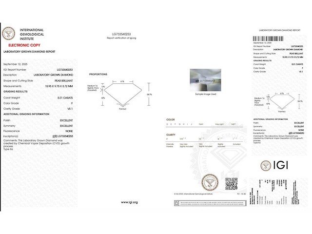 18 karaat witgouden ring met 5,01 crt. diamant - afbeelding 4 van  11