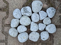 18x zak sierkeien a 25 kg redsun - afbeelding 2 van  5