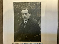 1911 r.duchamp-villon brons paard “petit cheval” - afbeelding 2 van  10