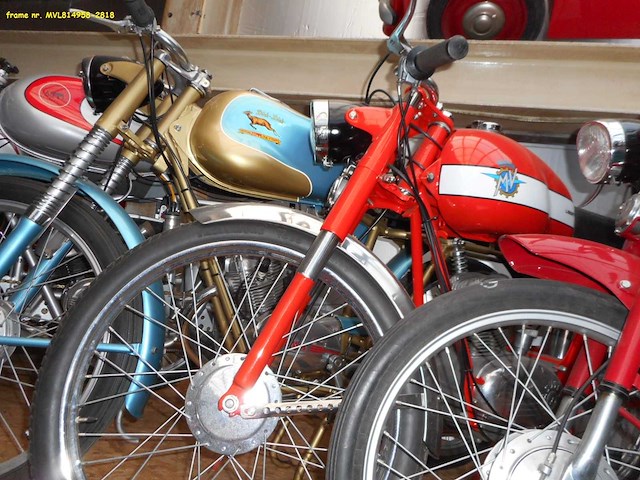 1950 mv agusta liberty 50cc | italian classic moped - afbeelding 5 van  6