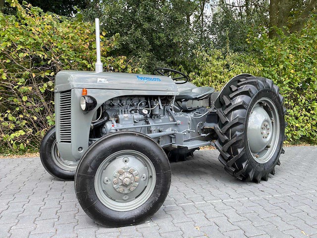 1951 ferguson te20 oldtimer tractor - afbeelding 1 van  9