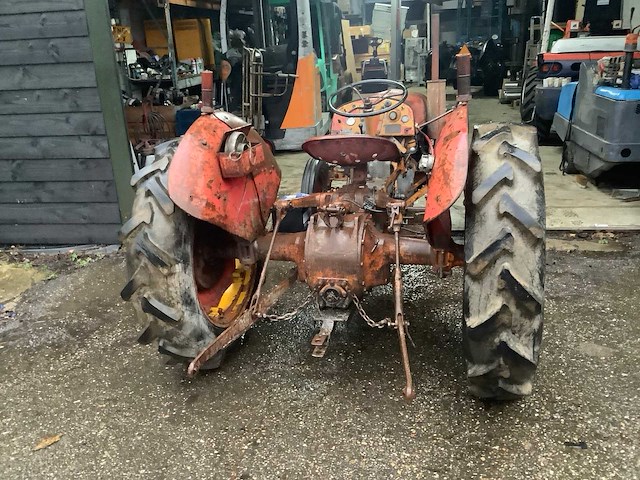 1953 ferguson tef oldtimer tractor - afbeelding 4 van  6