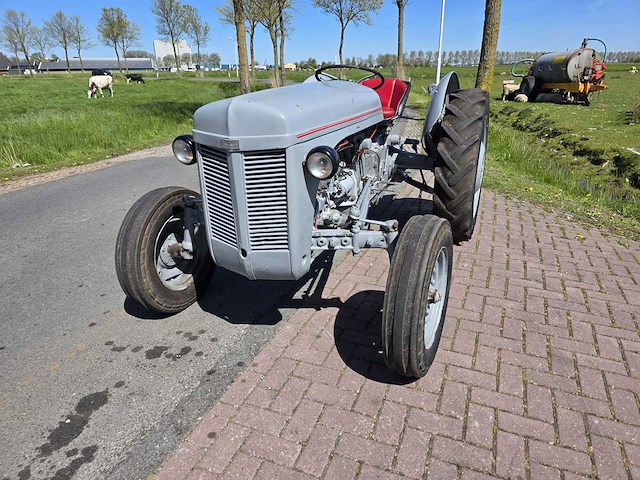 1955 massey ferguson ted tweewielaangedreven landbouwtractor - afbeelding 12 van  21