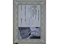 1956 gouache pablo picasso ‘zt’ - afbeelding 4 van  7