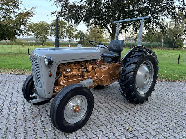 1958 massey ferguson 35 goudbuik - afbeelding 1 van  55