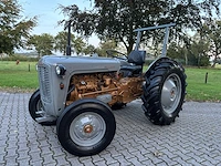 1958 massey ferguson 35 goudbuik - afbeelding 44 van  55