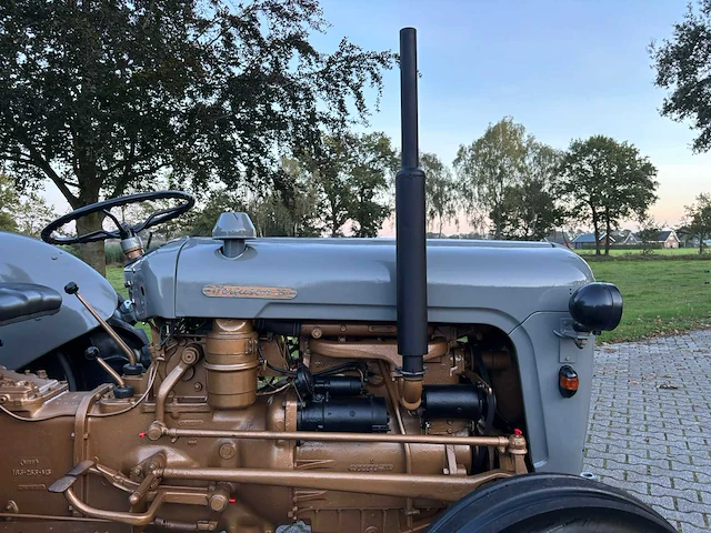 1958 massey ferguson 35 goudbuik - afbeelding 27 van  55