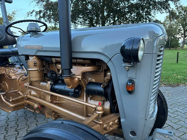 1958 massey ferguson 35 goudbuik - afbeelding 49 van  55