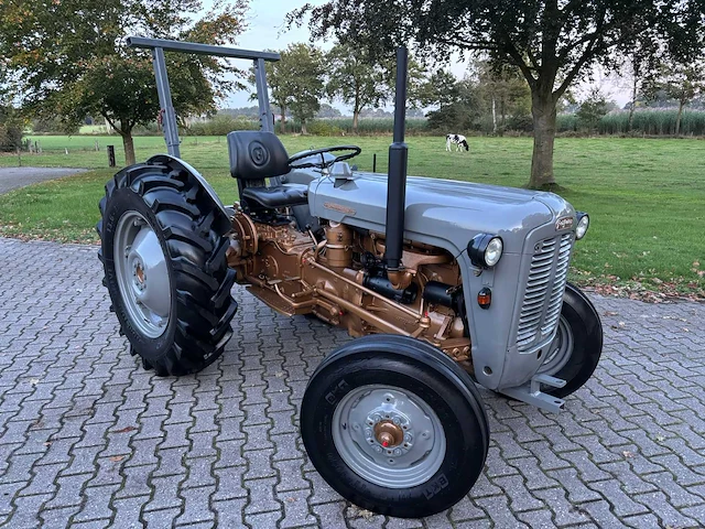 1958 massey ferguson 35 goudbuik - afbeelding 22 van  55