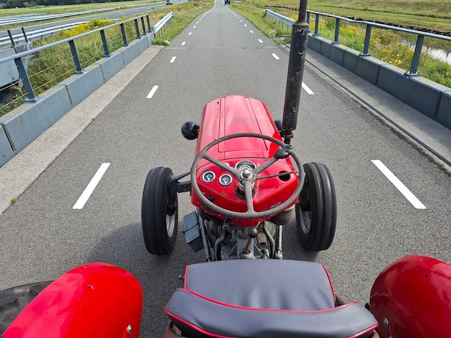 1960 massey ferguson 35 oldtimer tractor - afbeelding 2 van  10