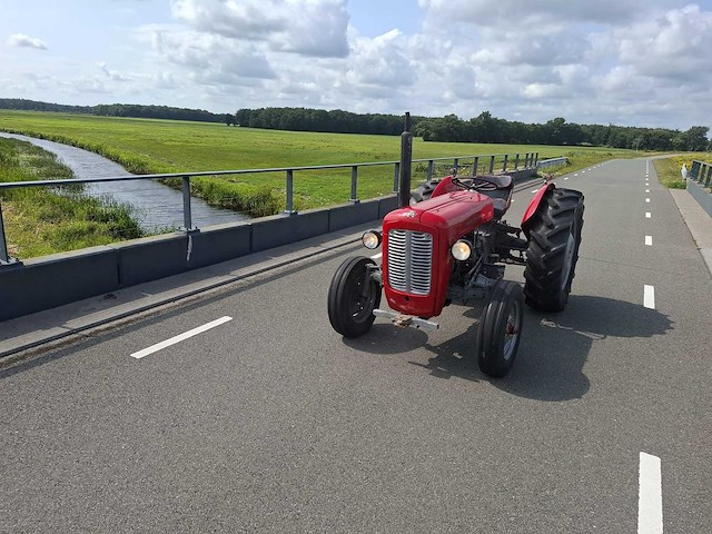 1960 massey ferguson 35 oldtimer tractor - afbeelding 3 van  10