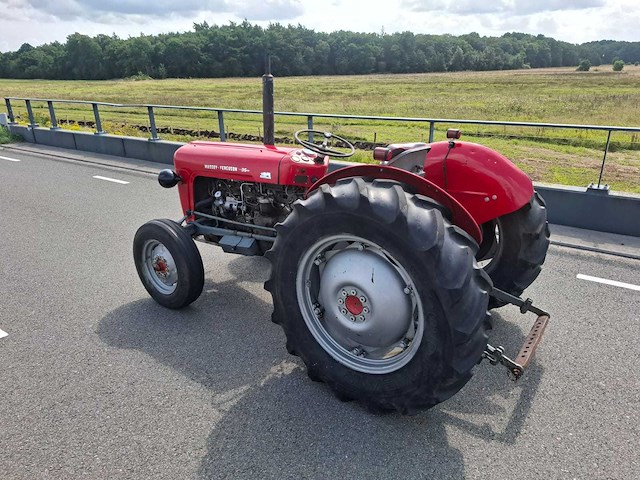 1960 massey ferguson 35 oldtimer tractor - afbeelding 6 van  10