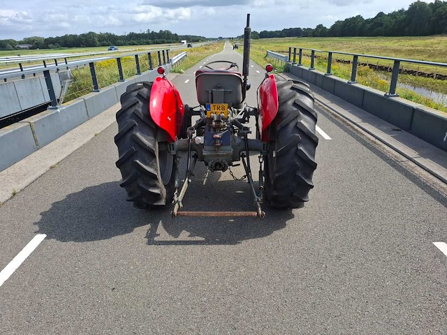 1960 massey ferguson 35 oldtimer tractor - afbeelding 7 van  10