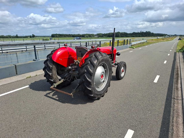 1960 massey ferguson 35 oldtimer tractor - afbeelding 8 van  10