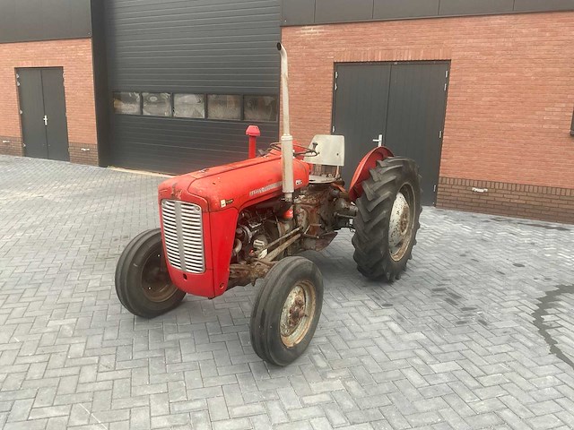 1962 massey ferguson 35 x oldtimer tractor - afbeelding 1 van  3