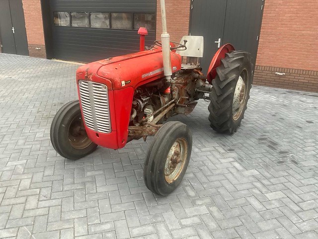 1962 massey ferguson 35 x oldtimer tractor - afbeelding 3 van  3