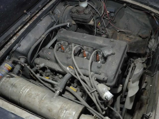1965 alfa romeo giulia 1600 super biscione | italian classic sports sedan - afbeelding 11 van  39