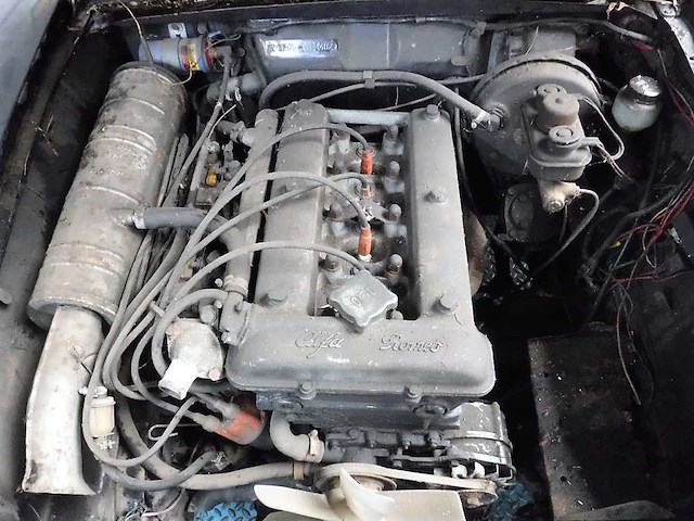 1965 alfa romeo giulia 1600 super biscione | italian classic sports sedan - afbeelding 30 van  39