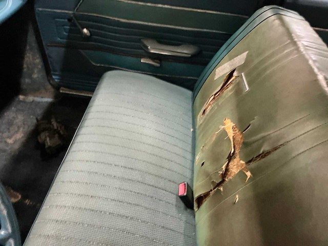 1965 ford taunus keulen 20m oldtimer - afbeelding 33 van  52