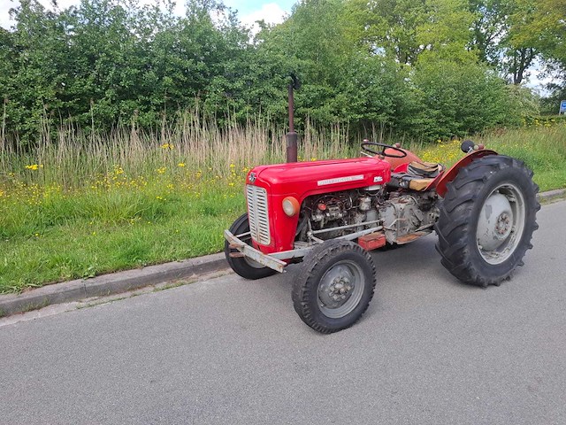 1965 massey ferguson 35 oldtimer tractor - afbeelding 1 van  13