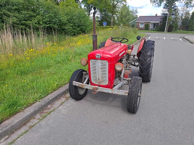 1965 massey ferguson 35 oldtimer tractor - afbeelding 6 van  13