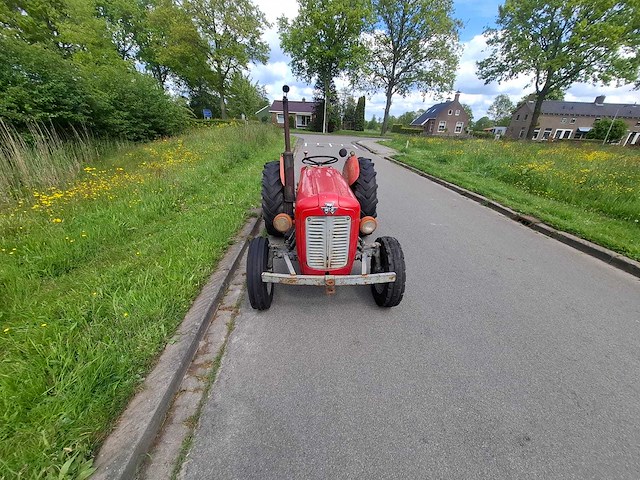 1965 massey ferguson 35 oldtimer tractor - afbeelding 9 van  13