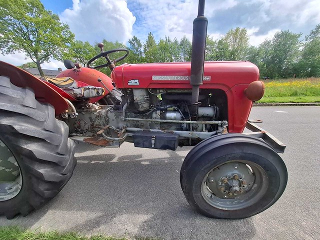1965 massey ferguson 35 oldtimer tractor - afbeelding 11 van  13