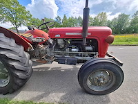 1965 massey ferguson 35 oldtimer tractor - afbeelding 11 van  13
