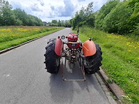 1965 massey ferguson 35 oldtimer tractor - afbeelding 12 van  13