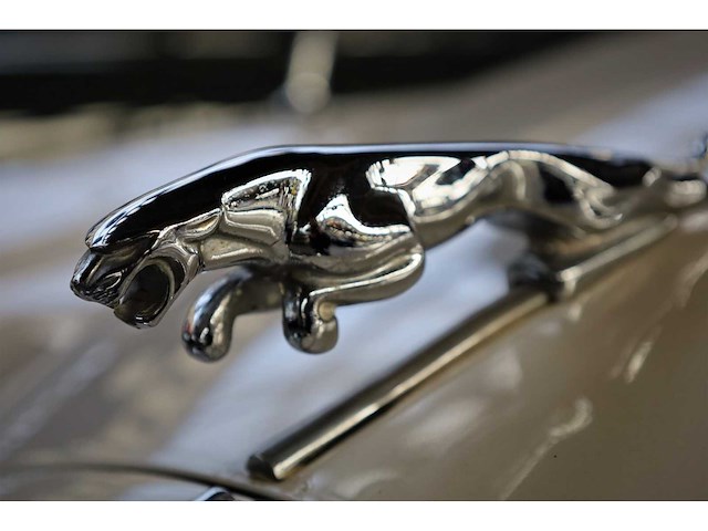 1966 jaguar mk 2 sedan | british classic sports saloon - afbeelding 35 van  38