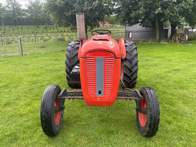 1966 same puledro b oldtimer tractor - afbeelding 12 van  19