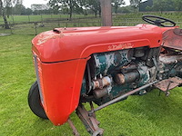 1966 same puledro b oldtimer tractor - afbeelding 16 van  19