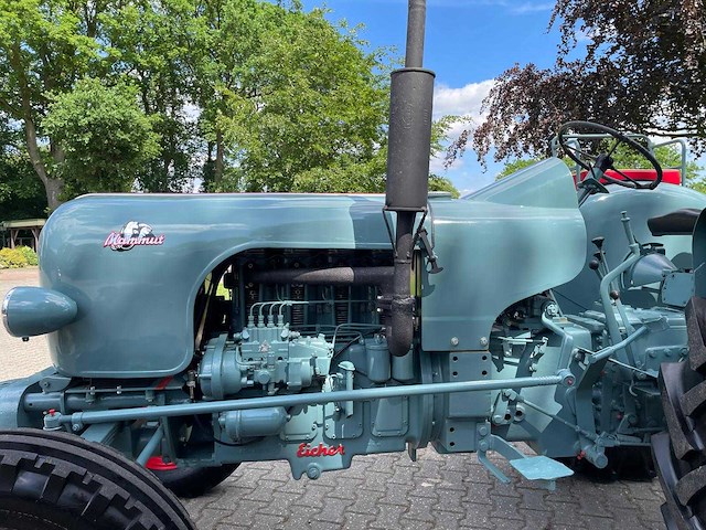 1967 eicher em600s oldtimer tractor - afbeelding 20 van  49