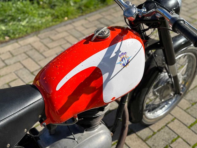 1967 mv agusta 125 - afbeelding 7 van  16