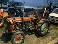 1969 massey ferguson imt oldtimer tractor - afbeelding 1 van  14