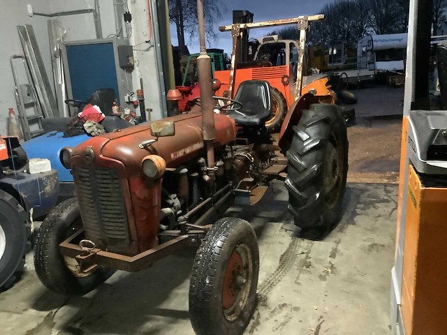 1969 massey ferguson imt oldtimer tractor - afbeelding 7 van  14