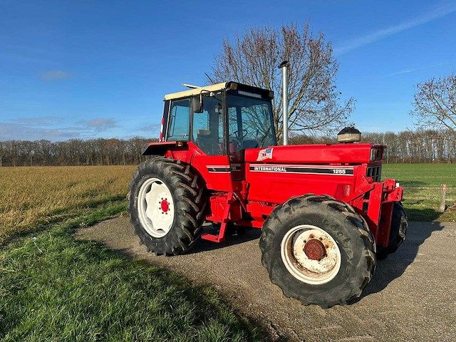 1981 international 1255-a vierwielaangedreven landbouwtractor - afbeelding 7 van  19