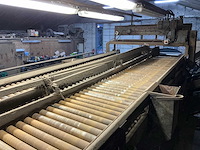 1982 campfens aardappel schudsorteerder met stortbunkers - afbeelding 26 van  77