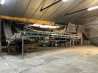 1982 campfens aardappel schudsorteerder met stortbunkers - afbeelding 67 van  77