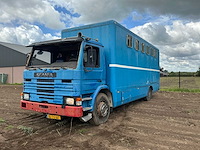 1984 scania 82 m vrachtwagenpaarden transport - afbeelding 1 van  21