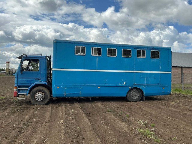 1984 scania 82 m vrachtwagenpaarden transport - afbeelding 12 van  21