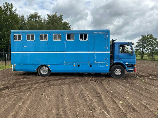 1984 scania 82 m vrachtwagenpaarden transport - afbeelding 17 van  21