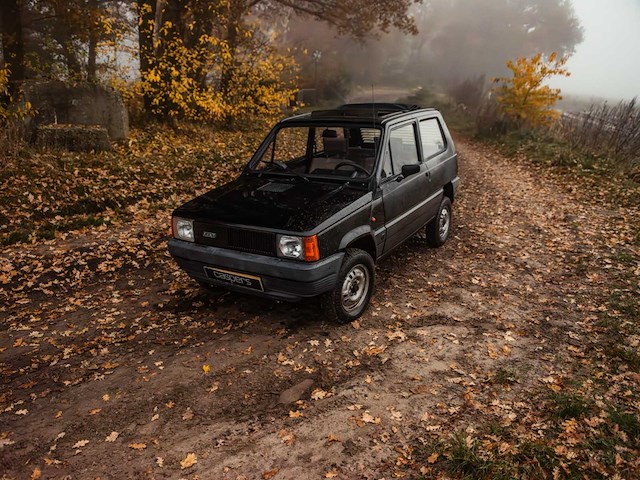 1986 fiat panda 4x4 45 cl personenauto - afbeelding 27 van  38