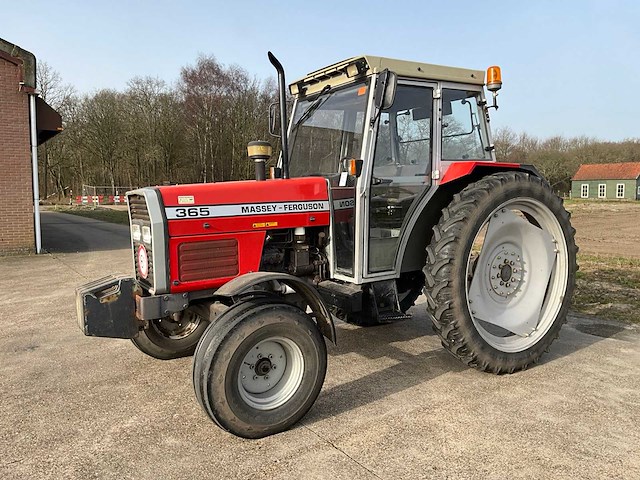 1991 massey ferguson 365 tweewielaangedreven landbouwtractor - afbeelding 1 van  25